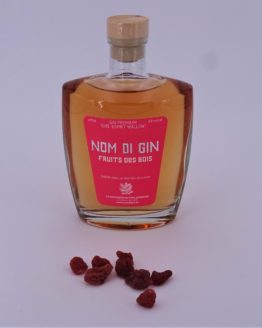 FRUITS BOIS 70 CL